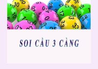 phương pháp dự đoán 3 càng tuyệt mật lần đầu tiết lộ